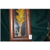 Image 5 : KOA SHADOW BOX FRAMED PARROT FEATHER ADORNMENT