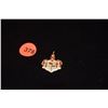Image 1 : 14K ENAMEL HAWAII COAT OF ARMS PENDANT (4.6 G)