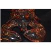 Image 6 : MASSIMO LUNARDON LOBSTER WINE DECANTERS; SIGNED (14 1/2" X 3 1/4") (PAIR)