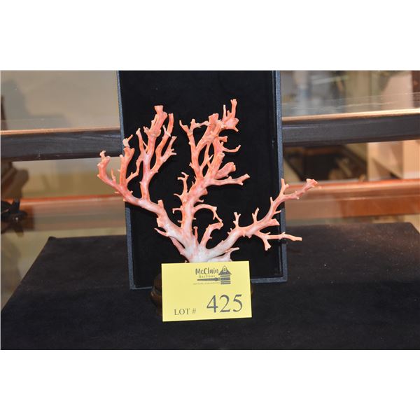 CORAL ON STAND