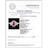 Image 5 : 14K Gold 1.90ct Spinel & 0.42ctw Diamond Ring