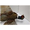 Image 2 : Taxidermy Pheasant Bird