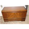 The Guardian Vintage Cedar Chest with Drawer