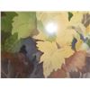 Image 3 : Framed, Signed , Original Painting of Fall Maple