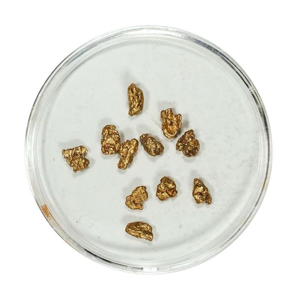 Gold Nuggets 1.87 Grams Total Weight