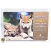 Image 1 : 24)RCM 2012 WOLF PUPS SPECIMEN COIN SET