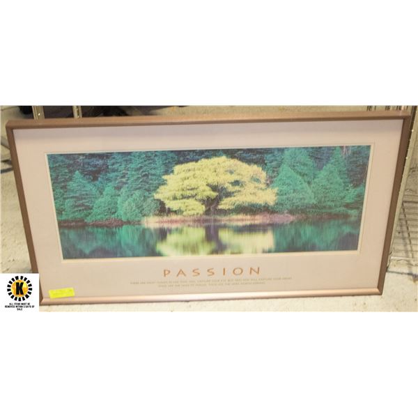 ?PASSION? EXPERT MATTING AND FRAMING 36?X20?