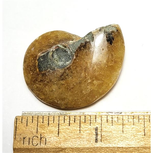 16)  NATURAL AMMONITE 9.6 GRAMS FOSSIL SPECIMEN.