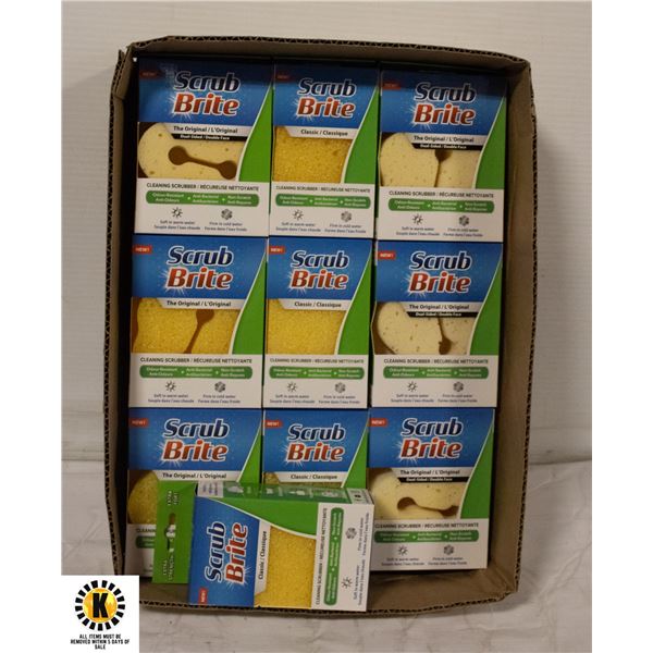 10 PACKS NEW SCRUB BRITE CANADIAN