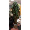 Image 1 : SILK DESIGNER PLANT (7' TALL)