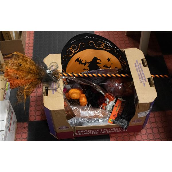 LARGE LOT OF WITCH/HORROR THEMED