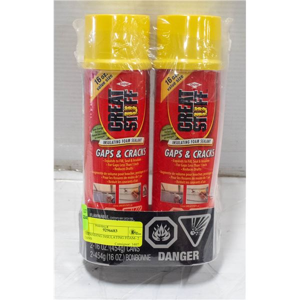 EXPANDING INSULATING FOAM- 2 CANS