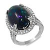 Image 1 : 11.45ct Opal 14 K White  Gold Ring