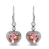 Image 1 : 2.94ct Morganite 14 K White Gold Earrings