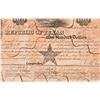 Image 6 : Republic of Texas $100 Stock Certificate Cancelled