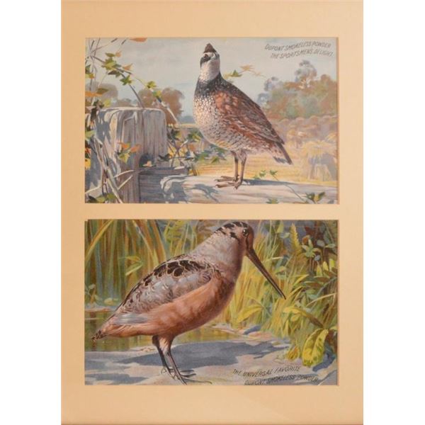 Dupont Smokeless Powder Advertising Quail