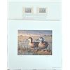 Image 14 : Collection of Texas Duck Stamps1981-1993 (- 1991)