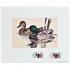 Image 2 : Collection of Texas Duck Stamps1981-1993 (- 1991)