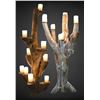 Image 1 : Pair of Large Cholla Cactus Lamps