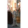 Image 4 : Pair of Large Cholla Cactus Lamps