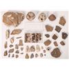 Image 1 : Pottery Shards from Missouri and Kansas    [175767]