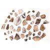 Image 1 : Pottery Shards and Points      [175765]