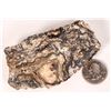 Image 1 : Sleeper Mine Ore Specimen    [173791]