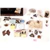 Image 2 : Nevada High Grade Ore Collection, Herz Brothers Jewelry c1890    [173216]