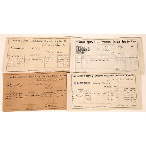 Boston and Colorado Smelting Company Assay Reports, Boulder  1881-1886  [123574]