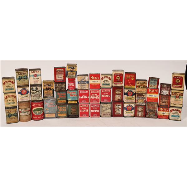 Large Spice Container Assortment (46)  1900s  [172704]