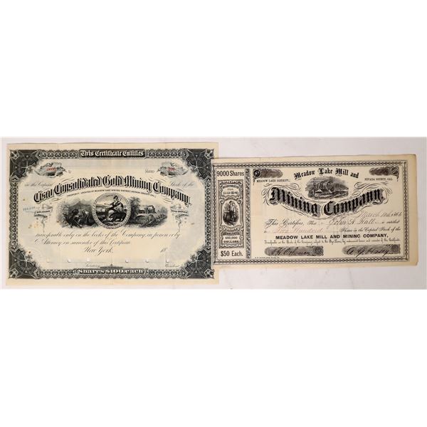 Rare Nevada Co. Mining Stock, 1866  1866  [173902]