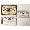 Image 1 : Black Hill Mining Certs, 1880-1886, Stock    [173467]