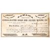 Image 1 : Panama Cons. G&S Stock, Smoky Valley District, N.T.  1863  [173812]