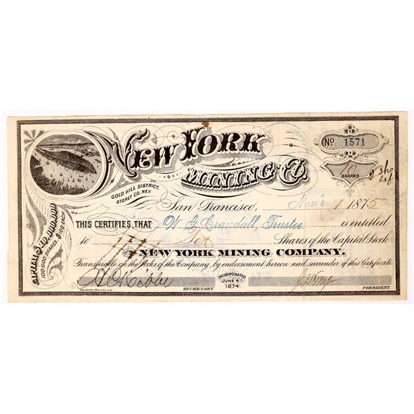 New York Mining Company  1875  [173857]