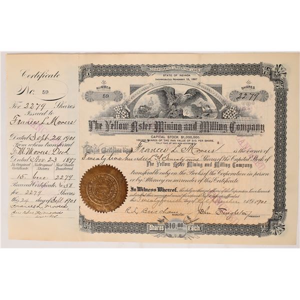 Yellow Aster Mining & Milling Co., 1901, Stock    [173194]