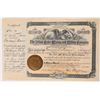 Image 1 : Yellow Aster Mining & Milling Co., 1901, Stock    [173194]