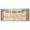 Image 1 : Camelia Mining Company, UT Territorial  1861  [163583]