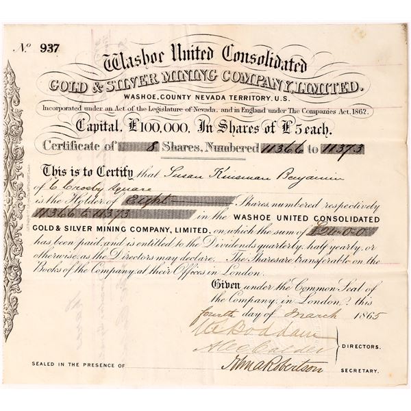 Washoe United Consolidated Gold & Silver Mining Company Stock    [173841]