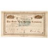 Image 1 : Gold Note Mining Company Stock, 1882    [169078]