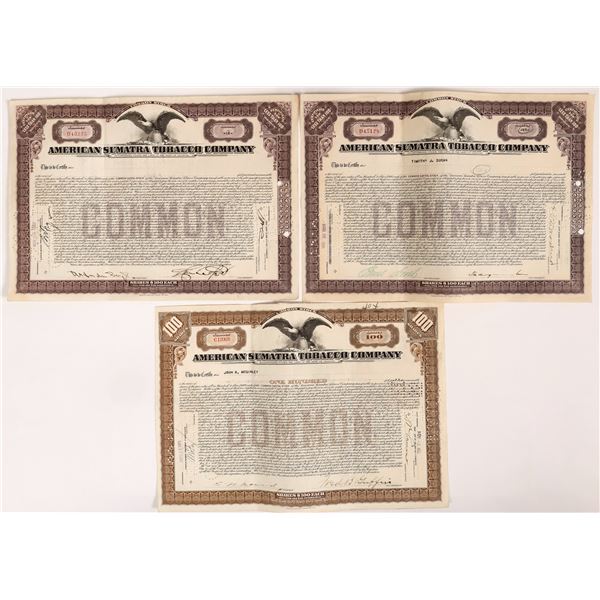 American Sumatra Tobacco Company Stock Certificate Trio  1921-1924  [155816]