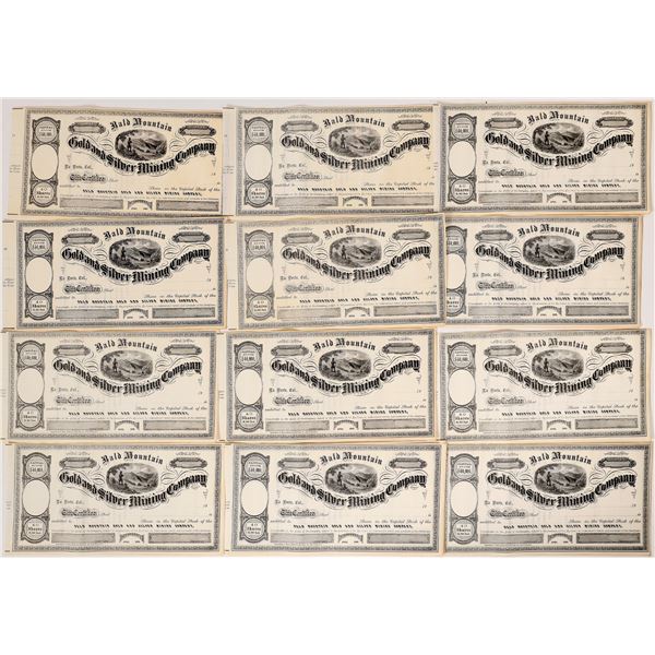 Bald Mtn G&S Mining Co., unissued Stock    [175911]