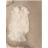 Image 2 : Fur Rugs
