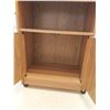 Image 2 : Rolling Storage Cabinet