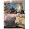 Image 7 : Record Lot