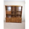 Image 1 : Mid-Century Wall Unit with Storage and Bar