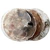 Image 5 : Saxony. Silver Box Taler.