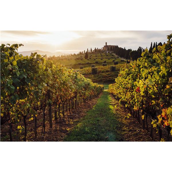 6 Night Stay & Taste of Tuscany for 4 People