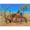 Image 3 : 7 Day Trophy Hunt: 5 Trophies for 1 Hunter & 1 Observer / Omujeve Safaris