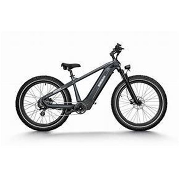Himiway Premium All-terrain Electric Fat Bike Zebra