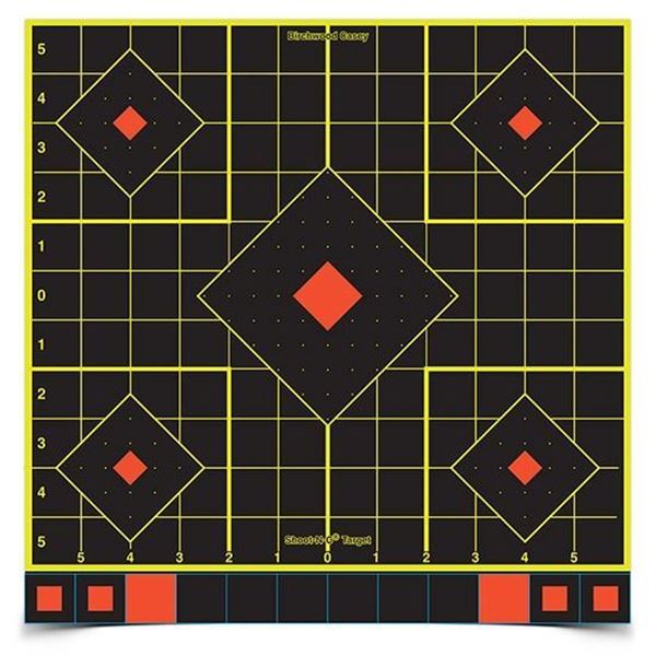BC SHOOT-N-C 12" SIGHT IN TARGET 100PK